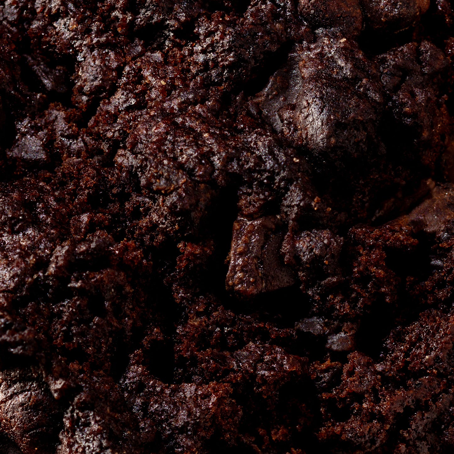 Double Chocolate Chip Cookie (vegan)